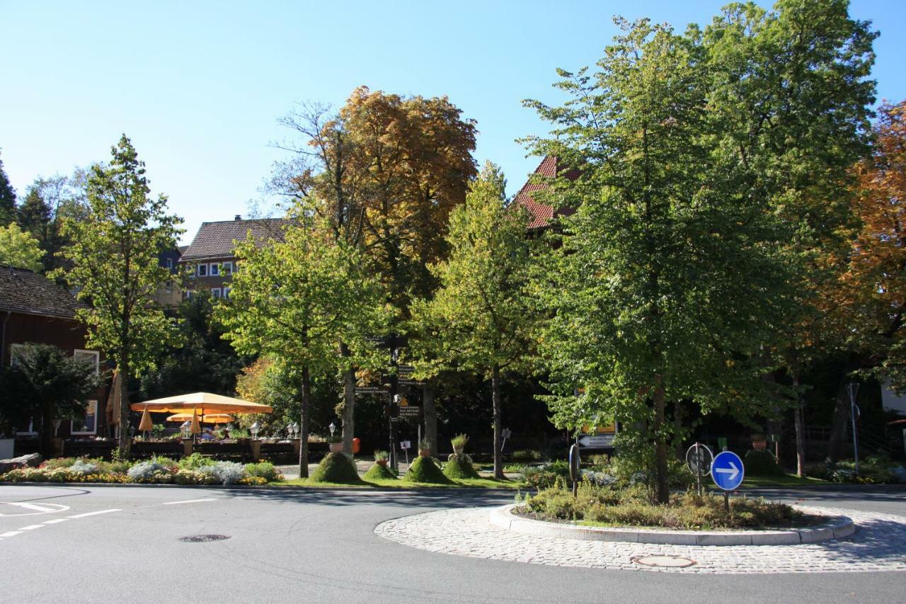 Villa Kurpark Domizil à Altenau  Extérieur photo