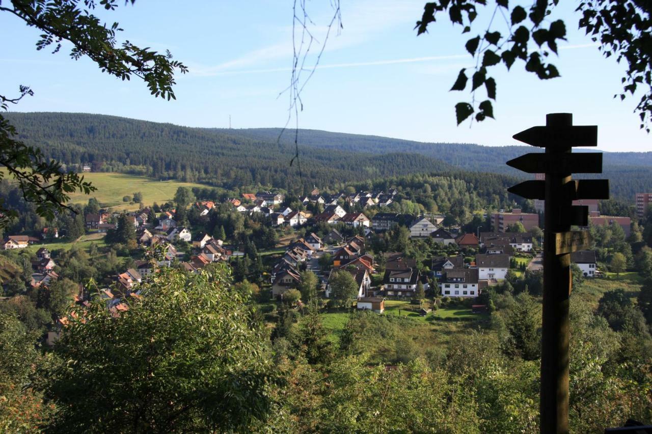 Villa Kurpark Domizil à Altenau  Extérieur photo