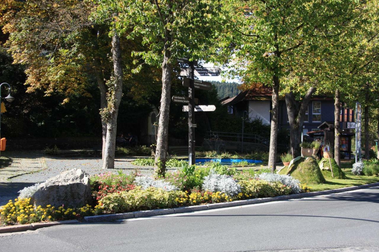 Villa Kurpark Domizil à Altenau  Extérieur photo